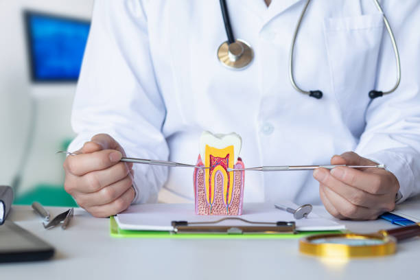 Best Emergency Tooth Extraction in Roodhouse, IL